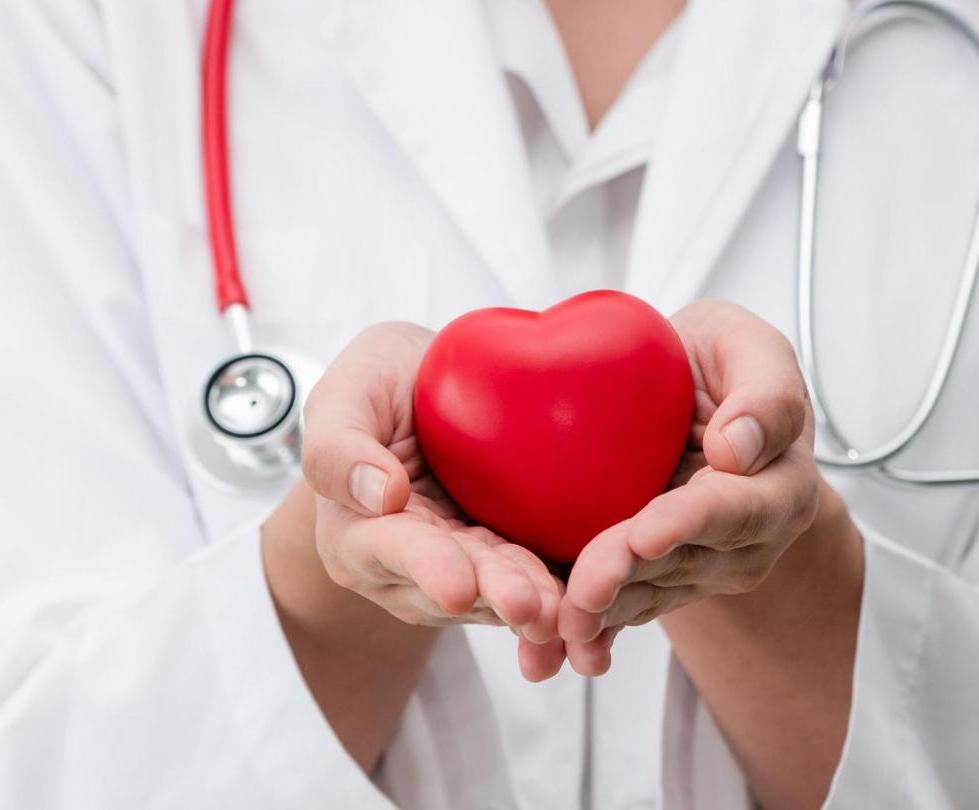 Программа «Здоровое сердце и сосуды»